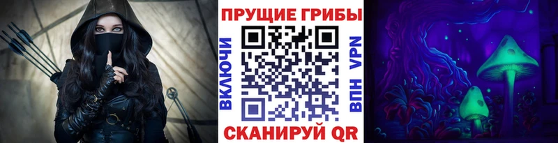 Псилоцибиновые грибы MAGIC MUSHROOMS  где купить   Куса 